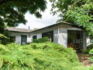Tasteful chalet near Ommen for family - Stegeren - 4