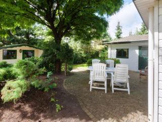 Tasteful chalet near Ommen for family - Stegeren - 2