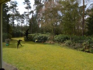 Holiday Home in Huijbergen with Garden - Huijbergen - 8