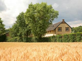 Farmhouse in Wijlre with two terraces - Wijlre - 4