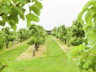 Lovely Cottage near Sea in Wemeldinge - Wemeldinge - 7