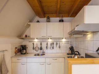 Comfortable holiday home in Nunspeet - Nunspeet - 2