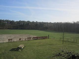 Rural holiday home in Well with garden - Knikkerdorp - 3