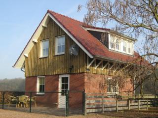 Rural holiday home in Well with garden - Knikkerdorp - 9