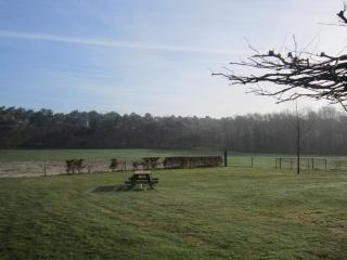 Rural holiday home in Well with garden - Knikkerdorp - 4