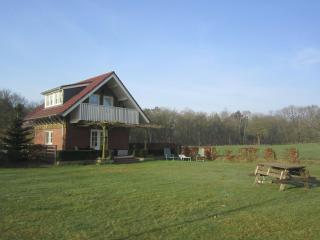 Rural holiday home in Well with garden - Knikkerdorp - 8