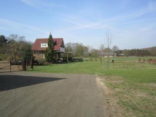 Rural holiday home in Well with garden - Knikkerdorp - 7