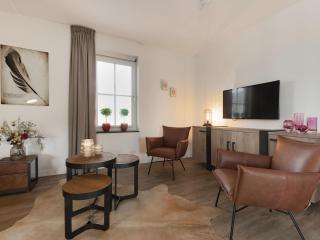 Villa with sunshower at Tjeukemeer - 4