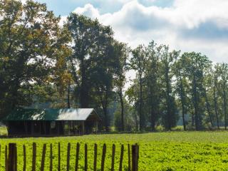 Luxury Lodge in Reesprong with Garden Fire Pit - 4