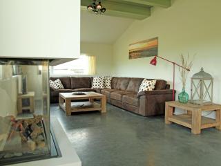 Quaint Villa in Tzummarum with Garden, Terrace - Tzummarum - 9