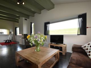 Quaint Villa in Tzummarum with Garden, Terrace - Tzummarum - 1
