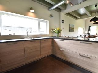 Quaint Villa in Tzummarum with Garden, Terrace - Tzummarum - 7