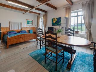 Farmhouse by Lauwers River with Rowing Boat - Burum - 2