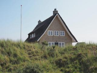 Villa in Midsland Terschelling for 6 Person - Midsland aan Zee - 1