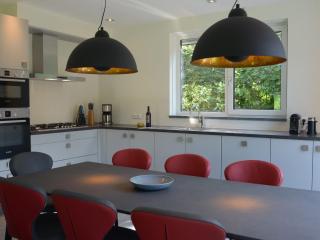 Beautiful villa between Den Burg and the Koog - Westermient - 5
