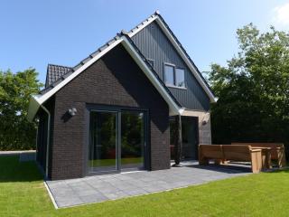 Beautiful villa between Den Burg and the Koog - Westermient - 0