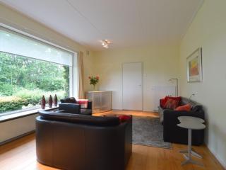 Rural holiday home, wildlife spotting Achterhoek - IJzerlo - 7