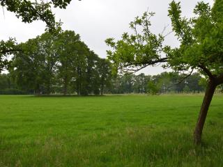 Rural holiday home, wildlife spotting Achterhoek - IJzerlo - 2