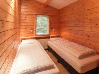 Cosily chalet with gas fireplace in Twente - Ootmarsum - 7