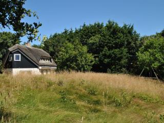 Relax in a luxury villa by the dunes - De Cocksdorp - 2