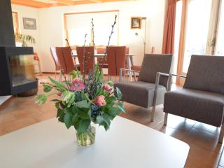 Relax in a luxury villa by the dunes - De Cocksdorp - 5