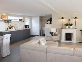 Fantastic brand new vacation home near the Wadden - Paesens - 4