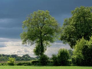 Authentic holiday home with view - Geesteren - 1