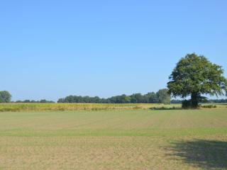 Authentic holiday home with view - Geesteren - 2