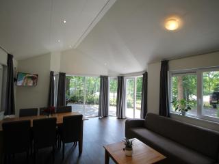 Chalet in De Bult by the pond - 3