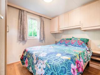 Charming Chalet in Stegeren near Forest - Stegeren - 9