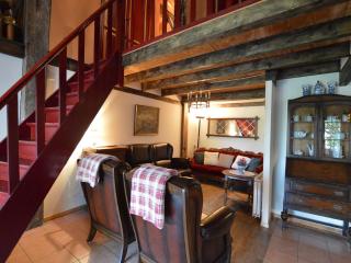 Farmhouse near Bergen op Zoom - Bergen op Zoom - 8