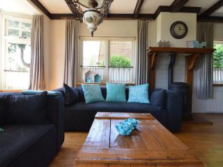 Holiday home near the Drents-Friese Wold - Nijeberkoop - 3