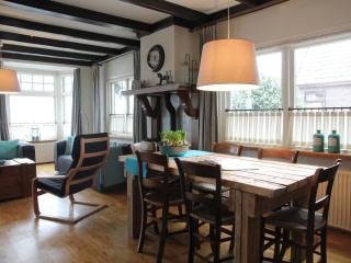 Holiday home near the Drents-Friese Wold - Nijeberkoop - 9