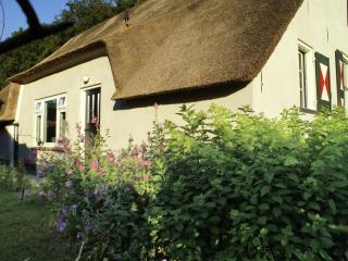 Peaceful Farmhouse in Doorn near Forest - Doorn - 1