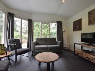 Modern chalet with a nice garden - Vorden - 0