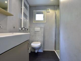 Modern chalet with a nice garden - Vorden - 1
