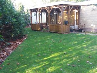 Holiday home near the forest in Ommen with pool - Ommen - 3
