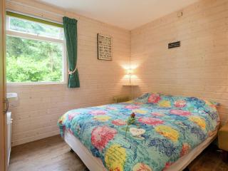 Holiday home near the forest in Ommen with pool - Ommen - 5