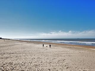 Holiday home with a sauna near the Noordwijk Beach - Noordwijk - 8