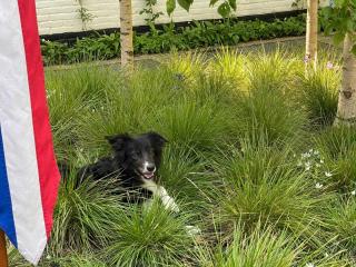Holiday Home in Bergen near the Beach - Bergen - 5