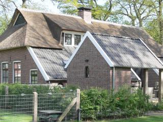 Holiday home in Nijverdal with jacuzzi - Nijverdal - 4
