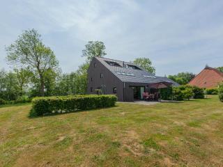holiday home with private terrace - Langweer - 4