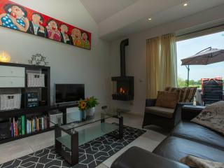 Luxury holiday home with private terrace - Langweer - 9