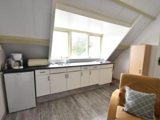 Apartment in a unique location Wadden Sea - Hippolytushoef - 2