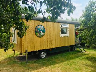 Holiday Home in Bergen op Zoom with Garden - Bergen op Zoom - 6
