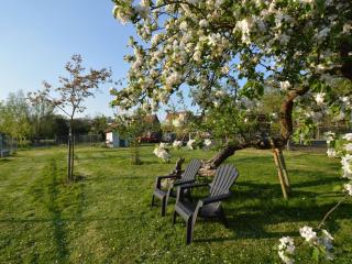 Holiday Home in Bergen op Zoom with Garden - Bergen op Zoom - 9