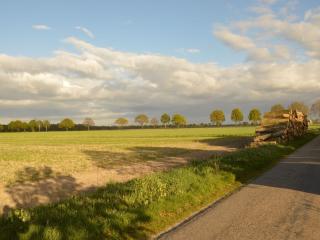 Holiday home in North Limburg with enclosed garden - Ospel - 3