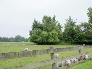 Modern Farmhouse in Molkwerum near the Lake - Molkwerum - 7