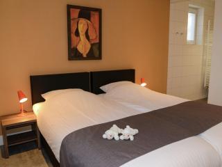 Luxury Villa in Texel with Private Garden - Westermient - 2