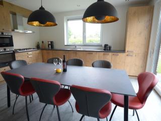 Luxury Villa in Texel with Private Garden - Westermient - 3